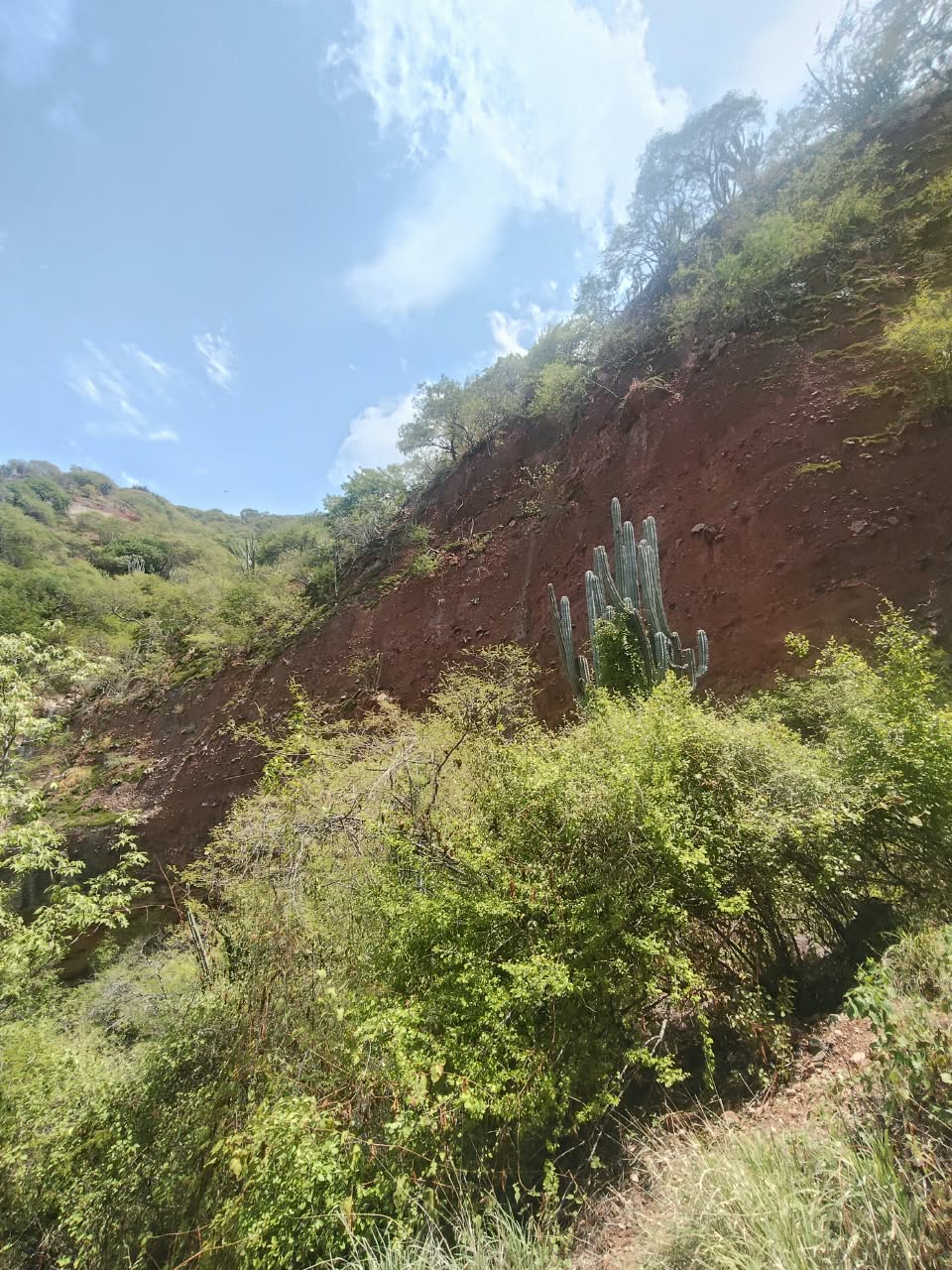 Sendero 3